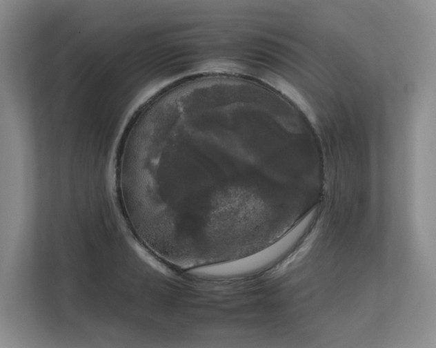 X0000111631037200907241046