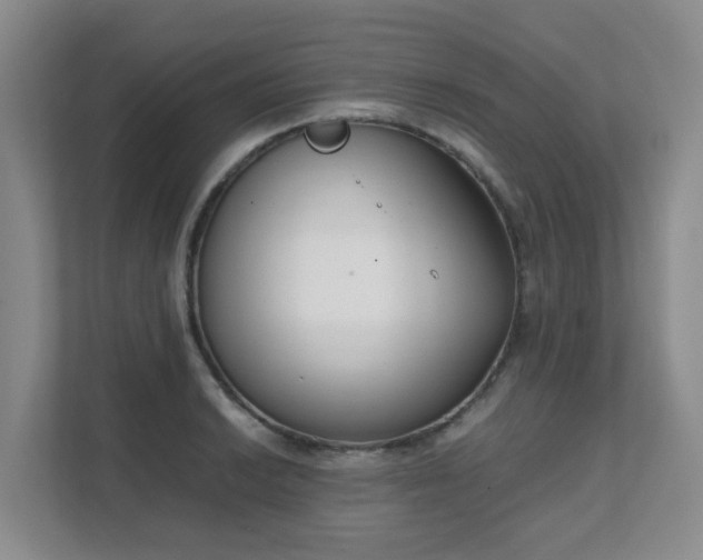 X0000111631038200907241046