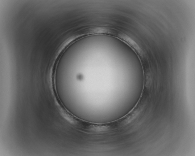 X0000111631039200907241046