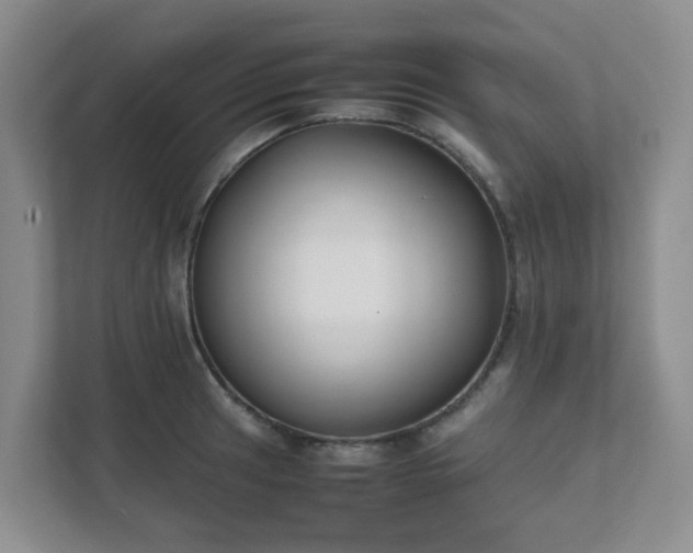 X0000111631041200907241046