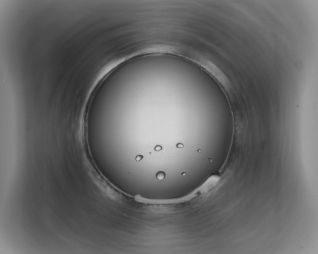 X0000111631044200907241046