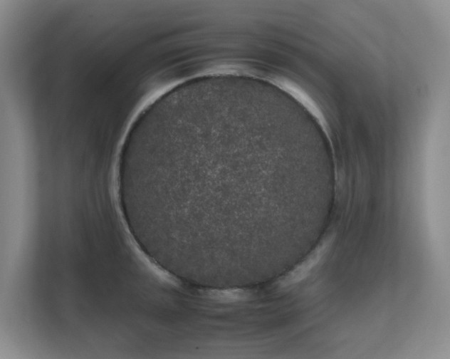 X0000111631045200907241046