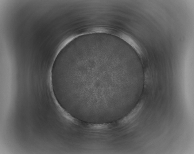 X0000111631047200907241046