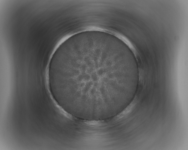 X0000111631048200907241046