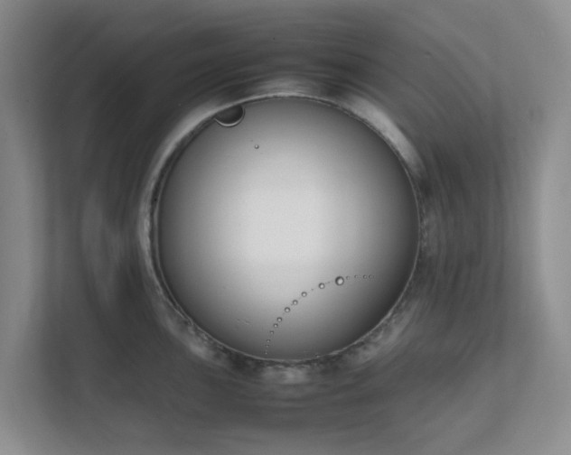 X0000111631051200907241046