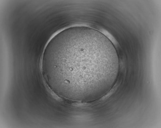 X0000111631052200907241046