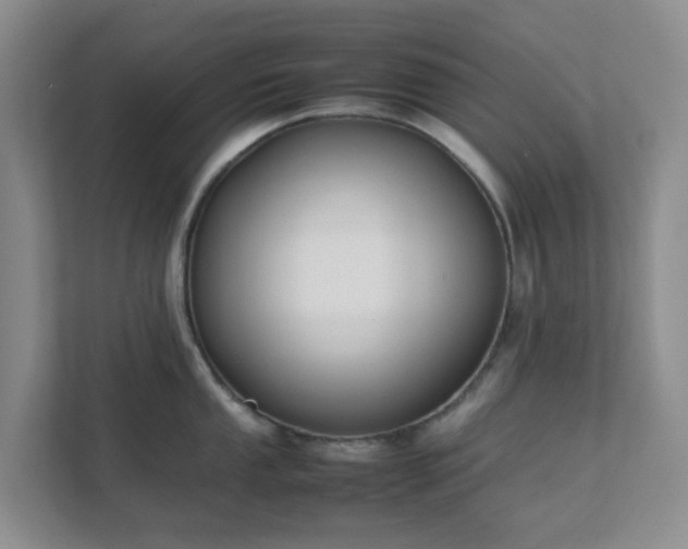 X0000111631053200907241046