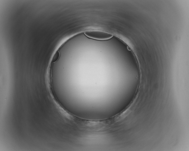 X0000111631056200907241046