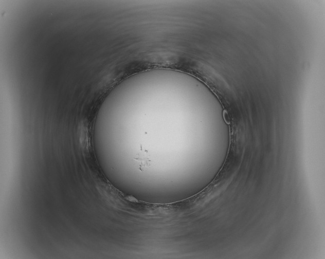 X0000111631058200907241046