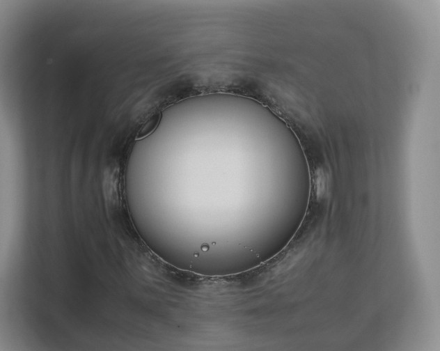 X0000111631059200907241046