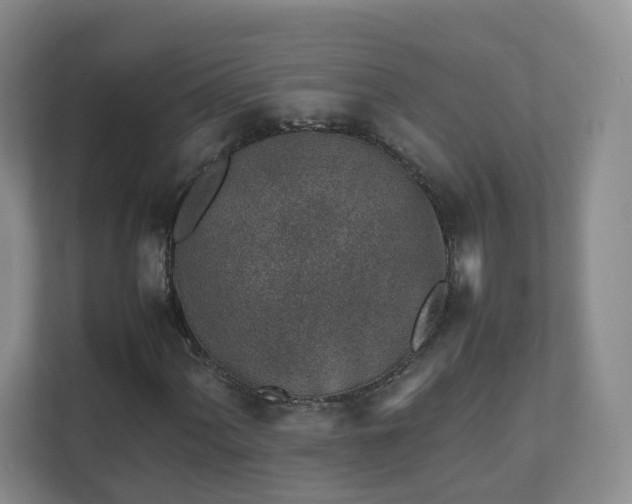 X0000111631060200907241046