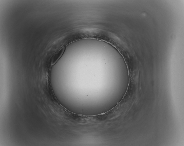 X0000111631061200907241046