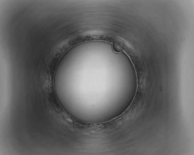 X0000111631062200907241046