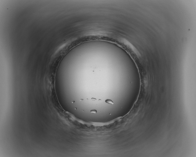 X0000111631064200907241046