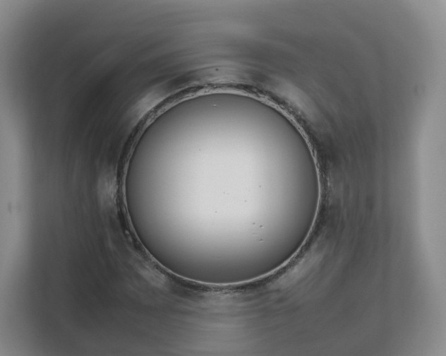 X0000111631065200907241046