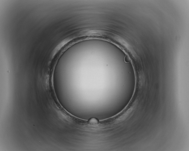 X0000111631066200907241046