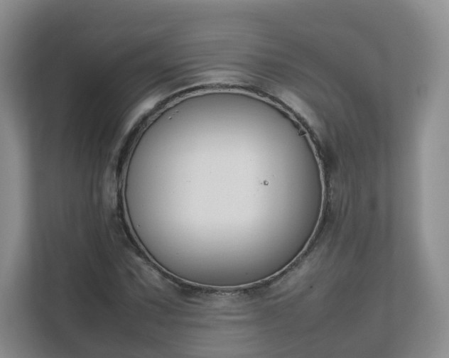 X0000111631067200907241046