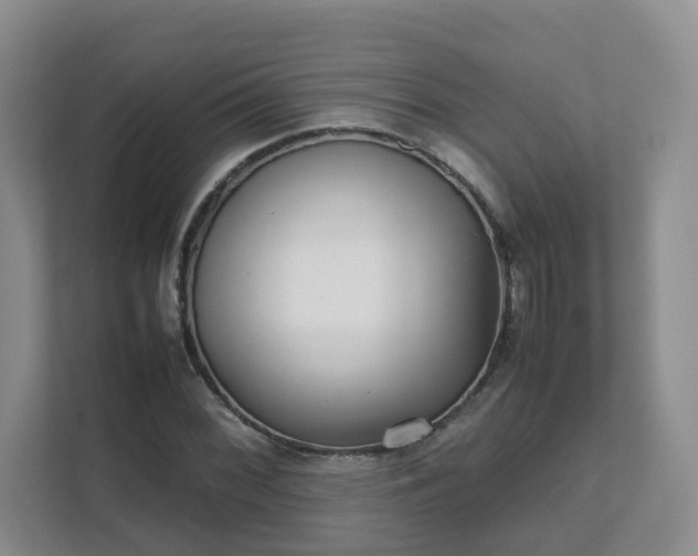 X0000111631068200907241046