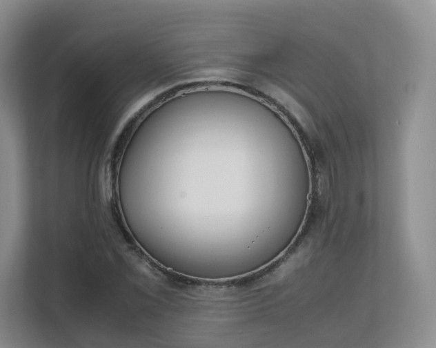 X0000111631069200907241046