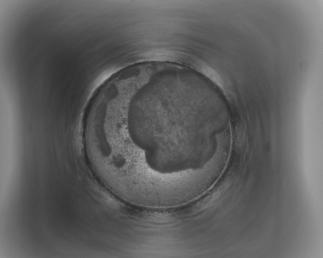 X0000111631071200907241046