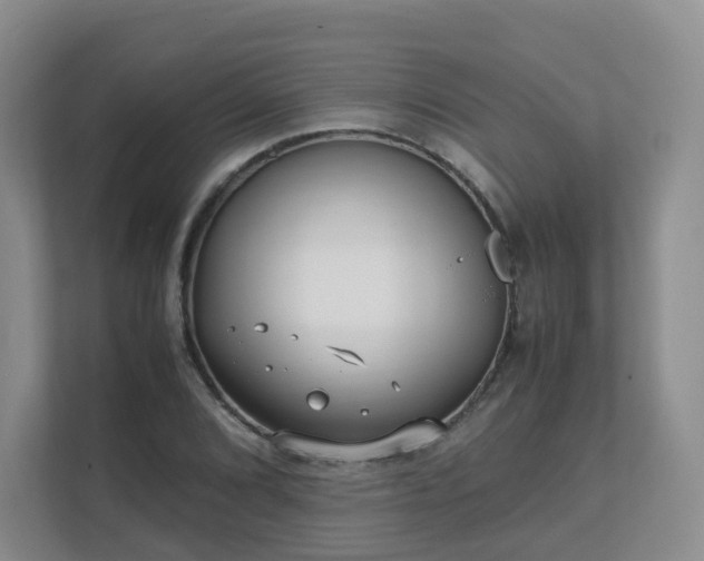 X0000111631072200907241046