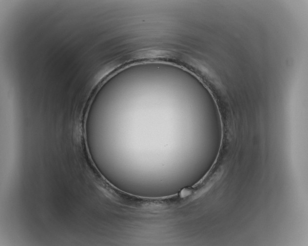 X0000111631073200907241046