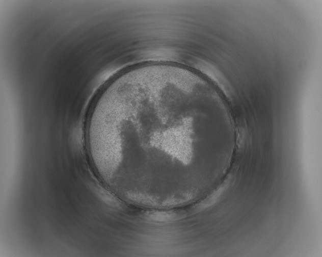 X0000111631074200907241045