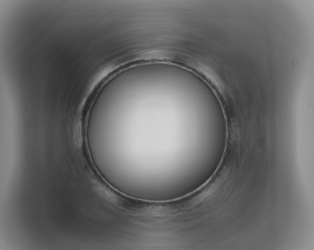 X0000111631075200907241045