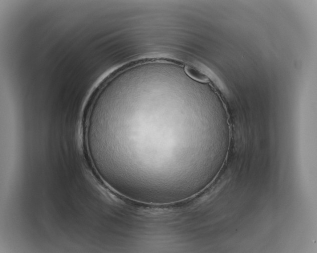 X0000111631076200907241045