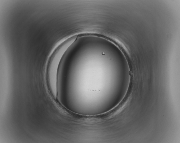 X0000111631077200907241045