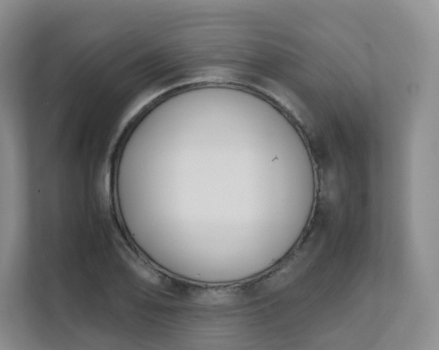 X0000111631078200907241045