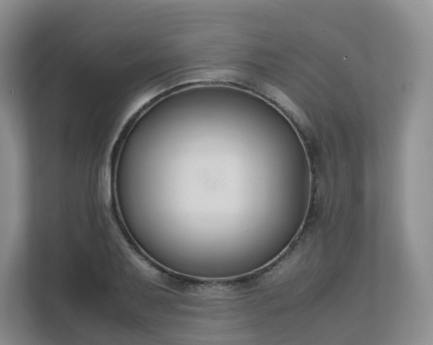 X0000111631079200907241045