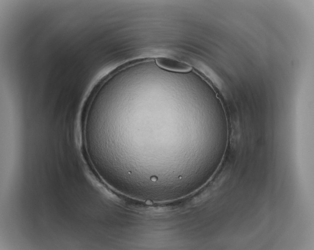 X0000111631080200907241045