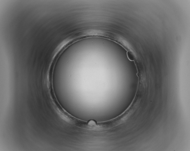 X0000111631082200907241045