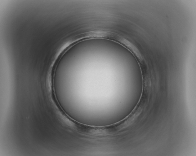 X0000111631083200907241045