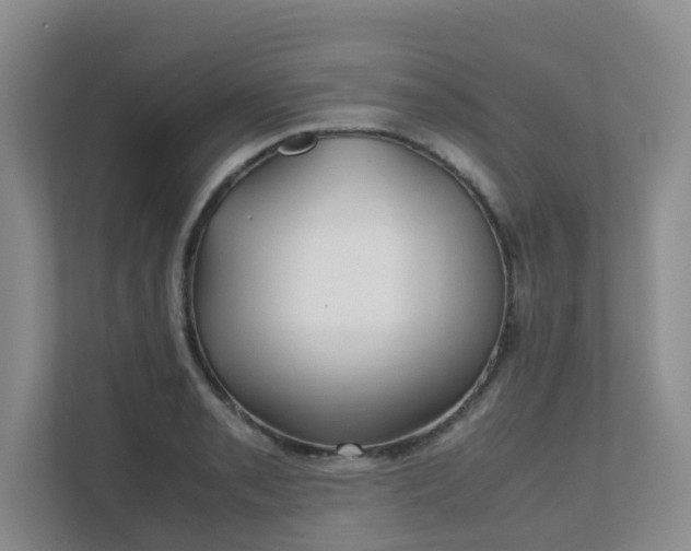 X0000111631085200907241045