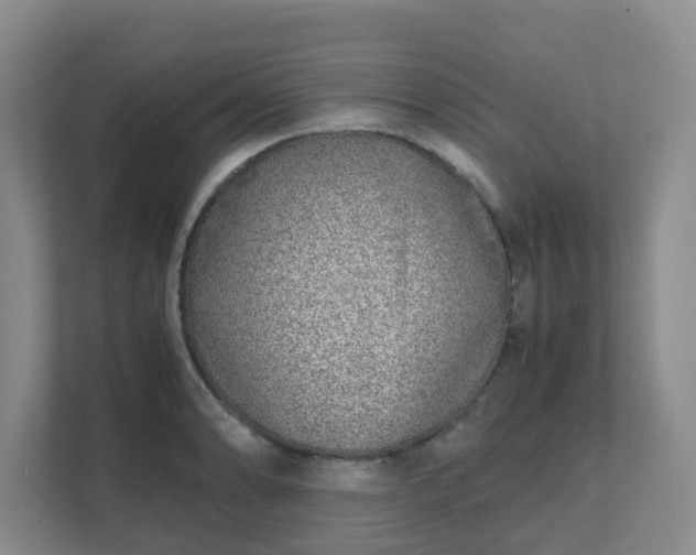 X0000111631086200907241045