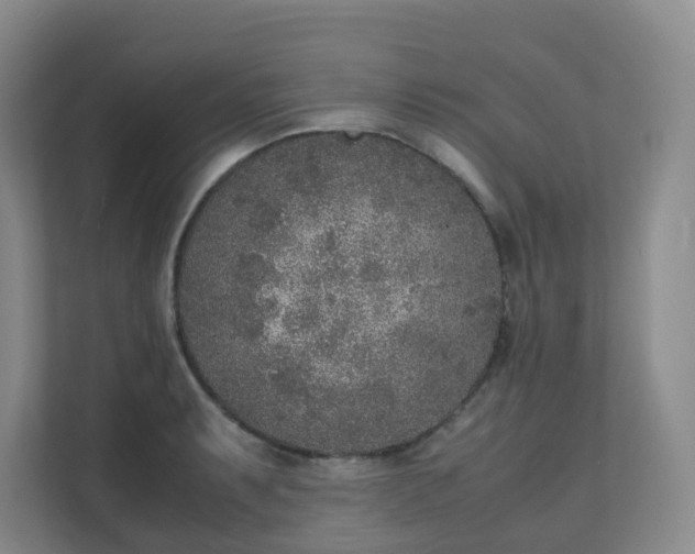 X0000111631087200907241045