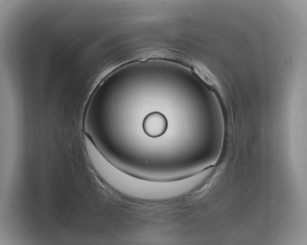 X0000111631089200907241045