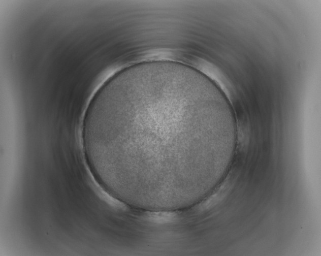 X0000111631090200907241045