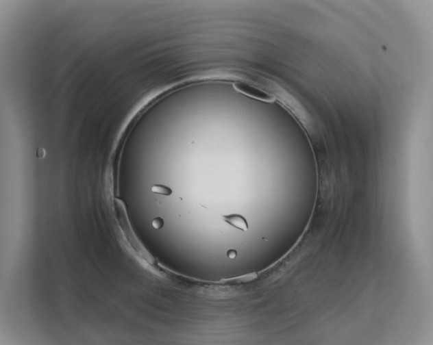 X0000111631092200907241045