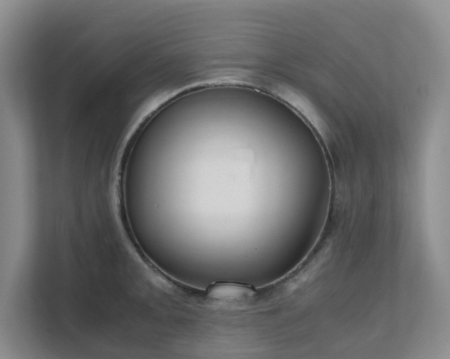 X0000111631093200907241045