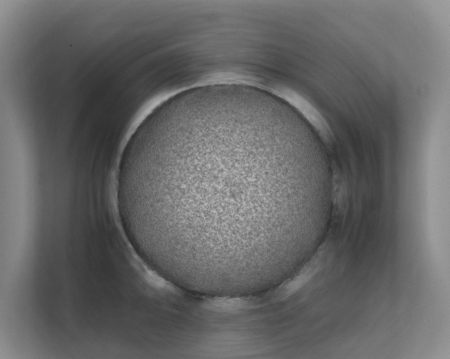 X0000111631094200907241045