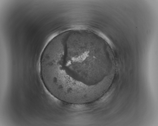 X0000111631095200907241045