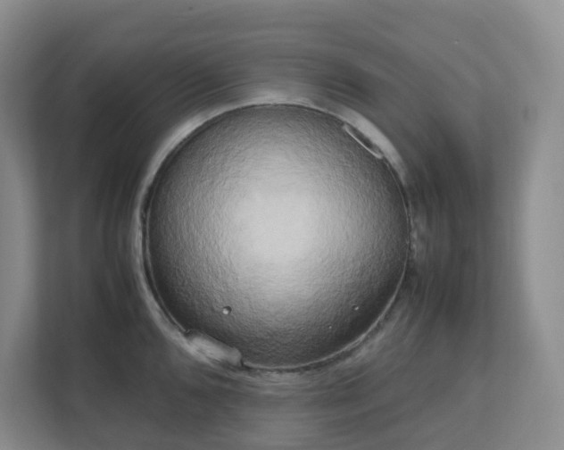 X0000111631096200907241045