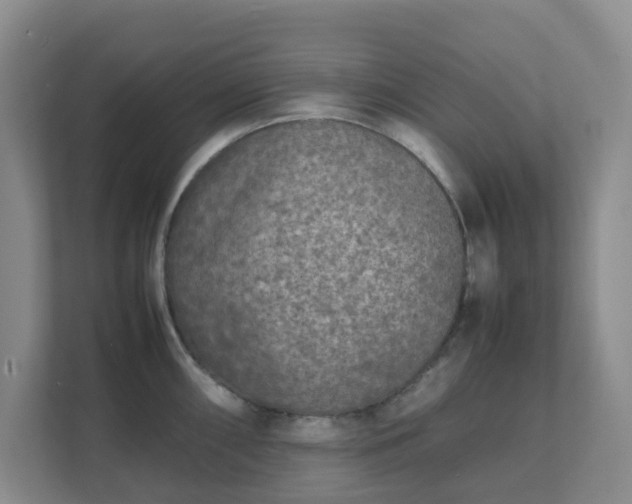 X0000111631098200907241045