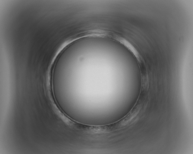 X0000111631099200907241045