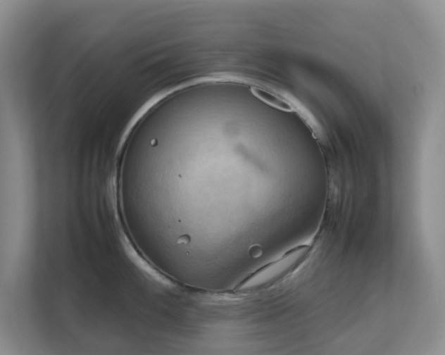 X0000111631100200907241045