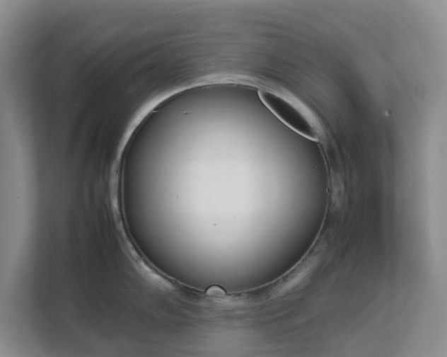 X0000111631102200907241045