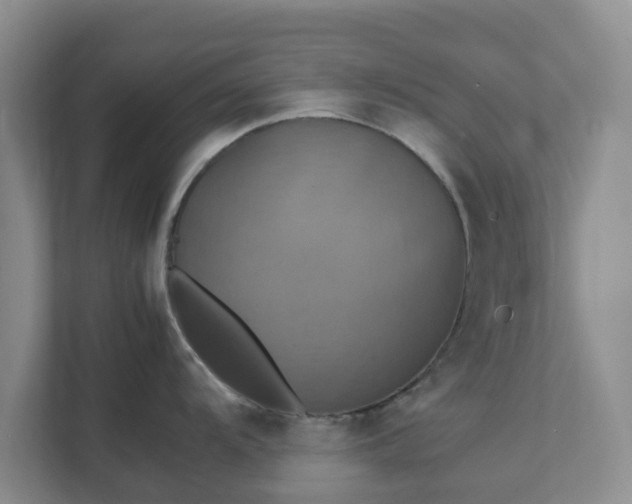 X0000111631104200907241045